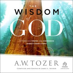 The Wisdom of God by A. W. Tozer audiobook