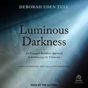 Luminous Darkness by  Deborah Eden Tull audiobook