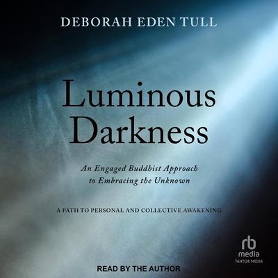 Luminous Darkness by Deborah Eden Tull audiobook