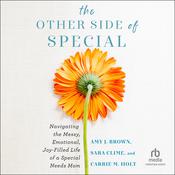 The Other Side of Special by  Amy J. Brown audiobook