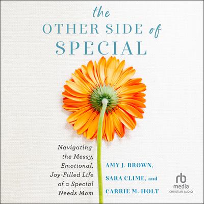 The Other Side of Special by Amy J. Brown audiobook