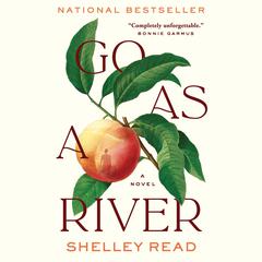GO AS A RIVER by Shelley Read audiobook
