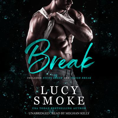 Break Volume 1 by Lucy Smoke audiobook