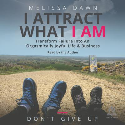 I Attract What I Am by Melissa Dawn audiobook