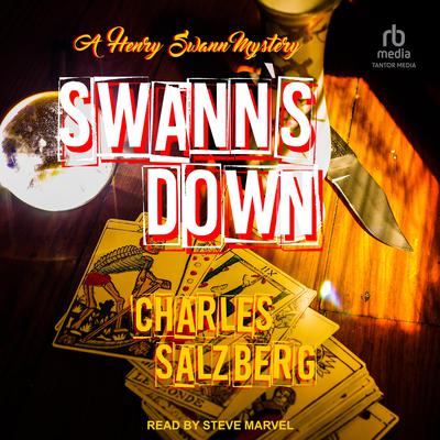 Swann's Down by Charles Salzberg audiobook