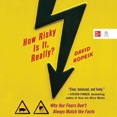 How Risky Is It, Really? by David Ropeik audiobook