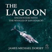 The Lagoon by  James Michael Dorsey audiobook