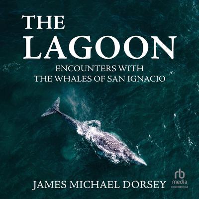 The Lagoon by James Michael Dorsey audiobook