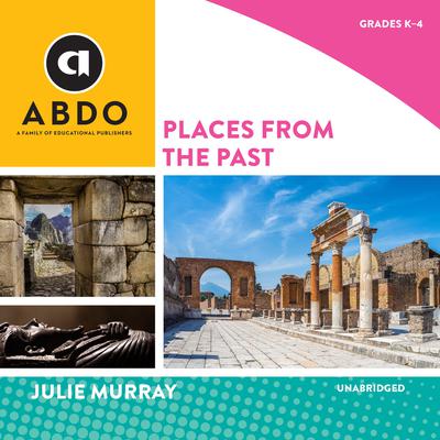 Places from the Past by Julie Murray audiobook