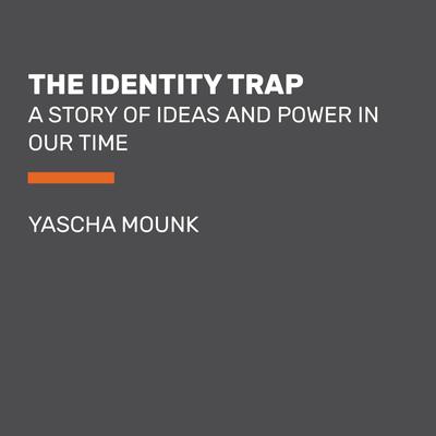 The Identity Trap by Yascha Mounk audiobook