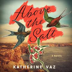 Above the Salt by Katherine Vaz audiobook