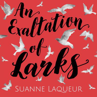 An Exaltation of Larks by Suanne Laqueur audiobook