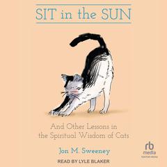 Sit in the Sun by Jon M. Sweeney audiobook