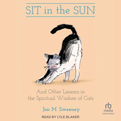 Sit in the Sun by Jon M. Sweeney audiobook