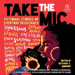 Take the Mic by Connie Sun audiobook