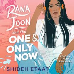 Rana Joon and the One and Only Now by Shideh Etaat audiobook
