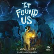 It Found Us by  Lindsay Currie audiobook