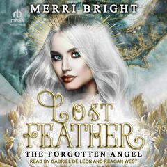 Lost Feather by Merri Bright audiobook