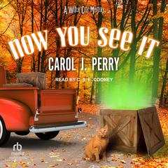 Now You See It by Carol J. Perry audiobook