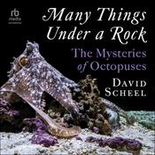 Many Things Under a Rock by  David Scheel audiobook