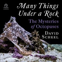 Many Things Under a Rock by David Scheel audiobook