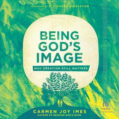 Being God's Image by Carmen Joy Imes audiobook