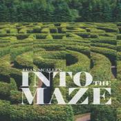 Into the Maze by  Euan McAllen audiobook