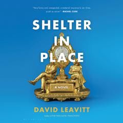Shelter in Place by David Leavitt audiobook