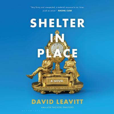 Shelter in Place by David Leavitt audiobook