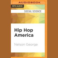 Hip Hop America by Nelson George audiobook