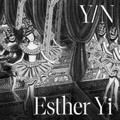 Y/N by  Esther Yi audiobook