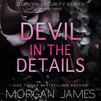 Devil in the Details by Morgan James audiobook