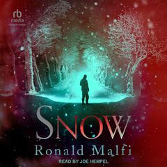 Snow by Ronald Malfi audiobook