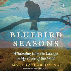 Bluebird Seasons by Mary Taylor Young audiobook