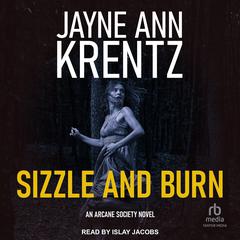 Sizzle and Burn by Jayne Ann Krentz audiobook