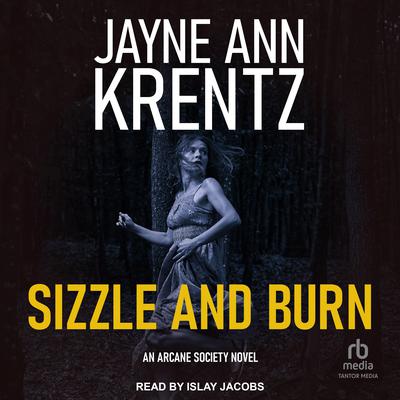 Sizzle and Burn by Jayne Ann Krentz audiobook