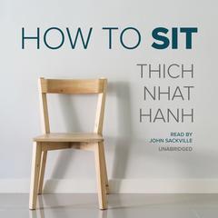 How to Sit by Thich Nhat Hanh audiobook