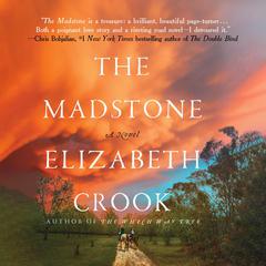 The Madstone by Elizabeth Crook audiobook