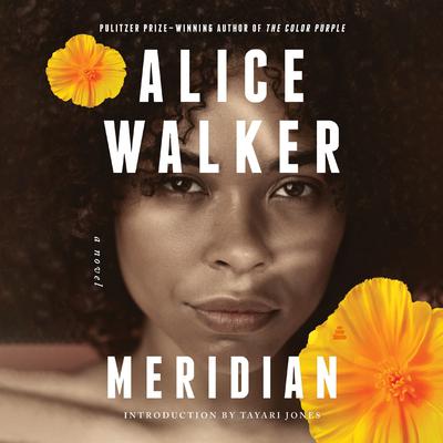 Meridian by Alice Walker audiobook