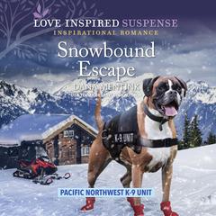 Snowbound Escape by Dana Mentink audiobook