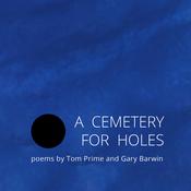 A Cemetery for Holes by  Gary Barwin audiobook