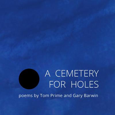 A Cemetery for Holes by Gary Barwin audiobook