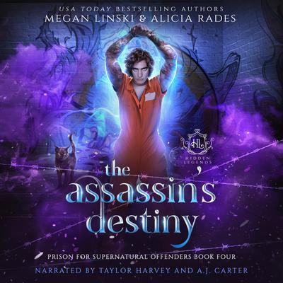 The Assassin's Destiny by Megan Linski audiobook