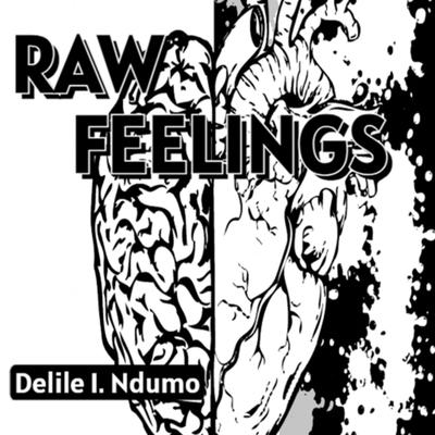 Raw Feelings by Delile I. Ndumo audiobook