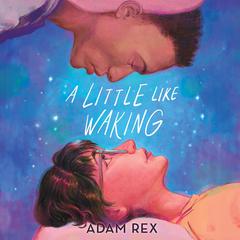 A Little Like Waking by Adam Rex audiobook