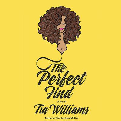 The Perfect Find by Tia Williams audiobook