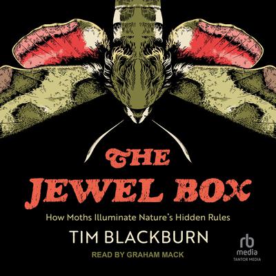The Jewel Box by Tim Blackburn audiobook