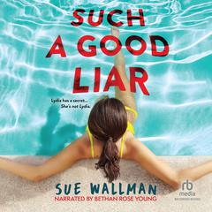Such a Good Liar by Sue Wallman audiobook