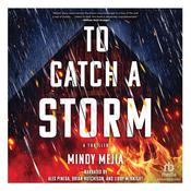 To Catch a Storm by  Mindy Mejia audiobook