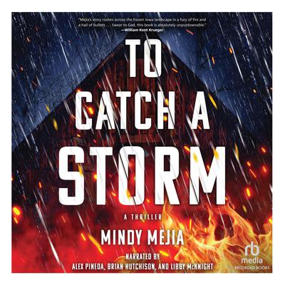To Catch a Storm by Mindy Mejia audiobook